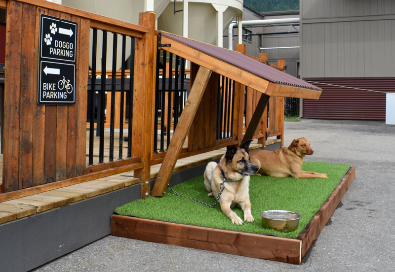 Two dogs sitting underneath a wooden shelter next to a patio.