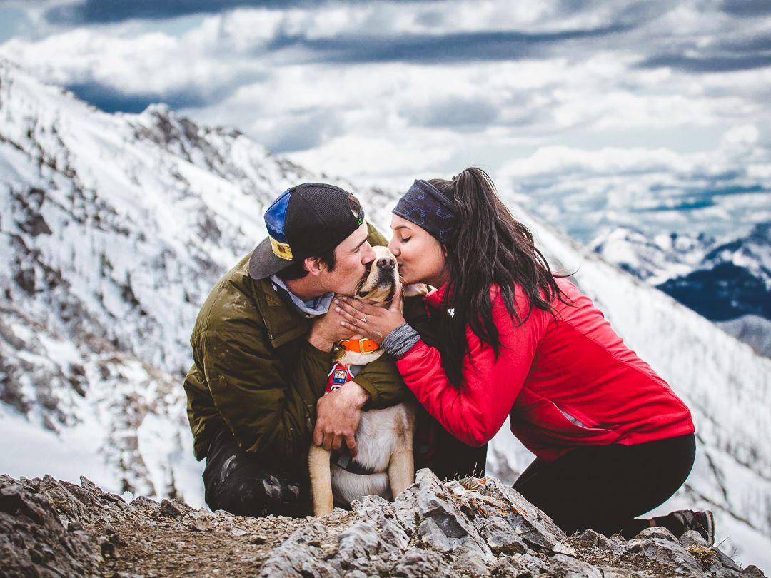 Bhawna and Tyler kissing their dog on a mountain top.