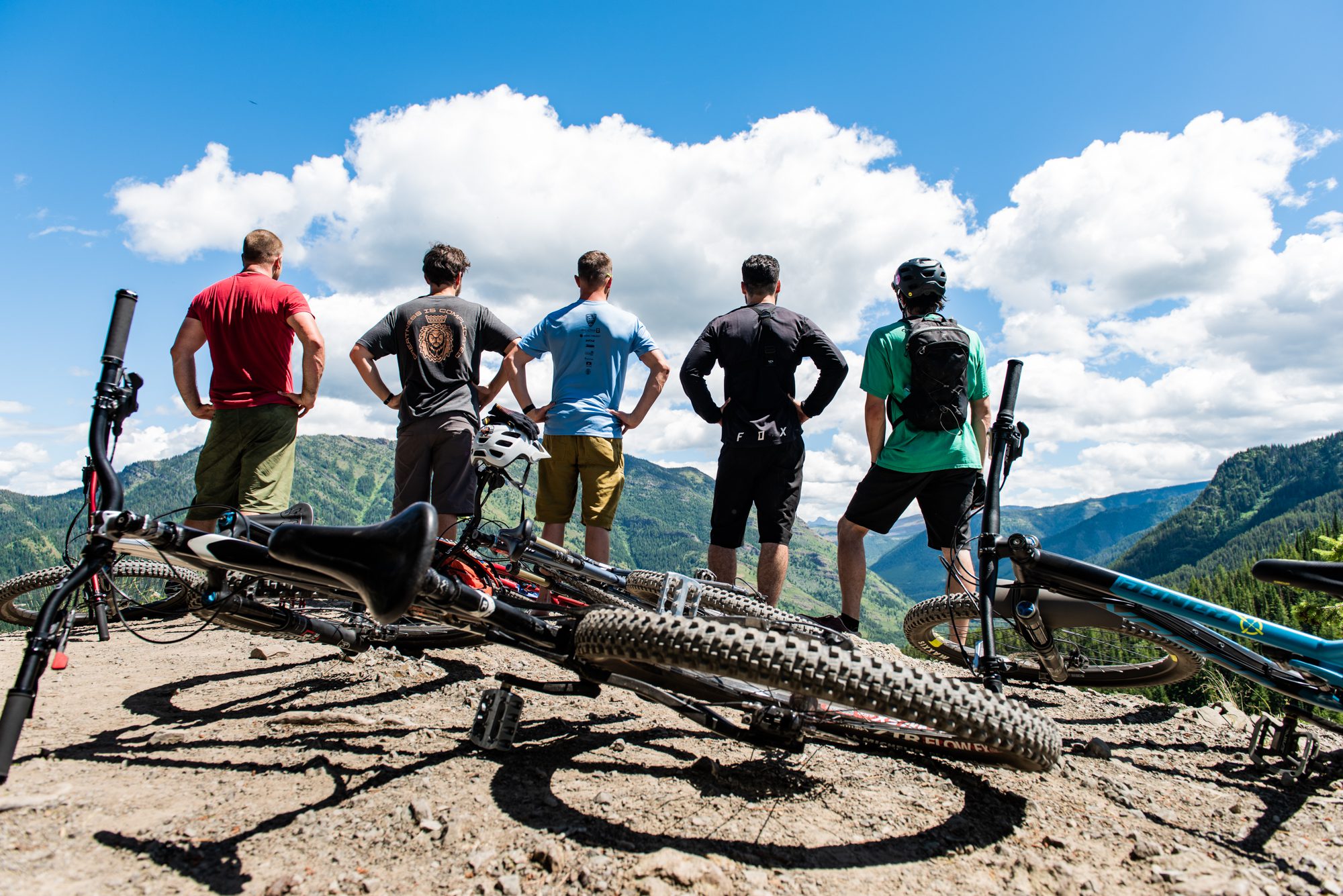 Five men looking out from viewpoint with mountain bikes in the foreground.